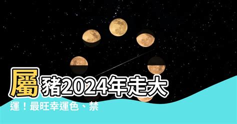 屬豬幸運色2024|豬年開運必備幸運色